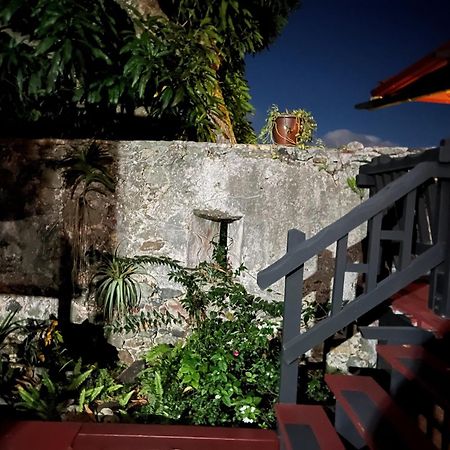 Contant Mid-Century: Caribbean Style公寓 外观 照片