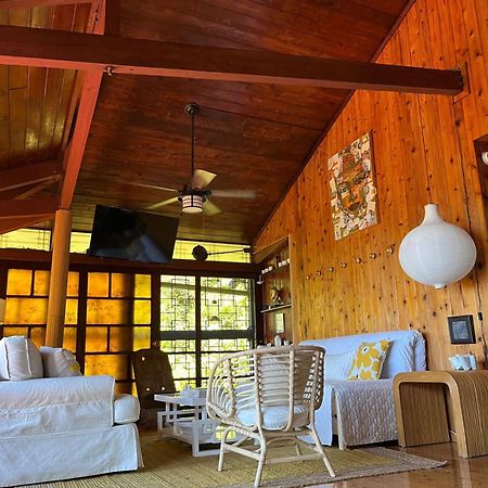 Contant Mid-Century: Caribbean Style公寓 外观 照片