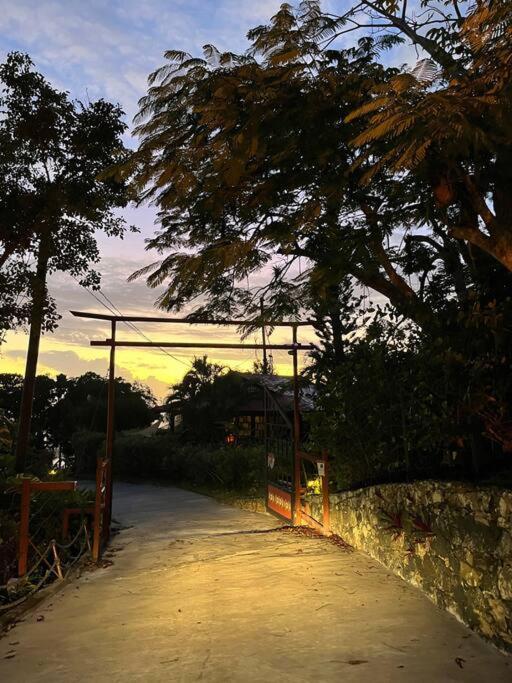 Contant Mid-Century: Caribbean Style公寓 外观 照片