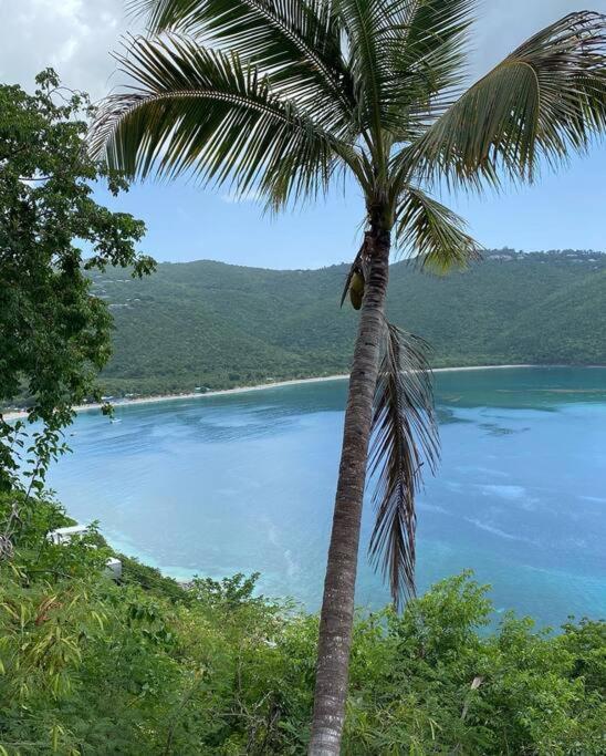 Contant Mid-Century: Caribbean Style公寓 外观 照片