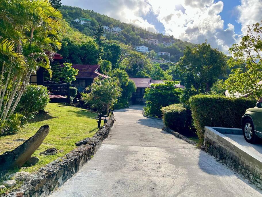 Contant Mid-Century: Caribbean Style公寓 外观 照片