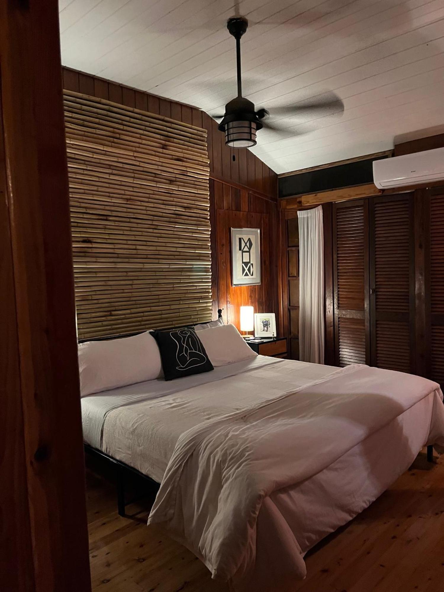 Contant Mid-Century: Caribbean Style公寓 外观 照片