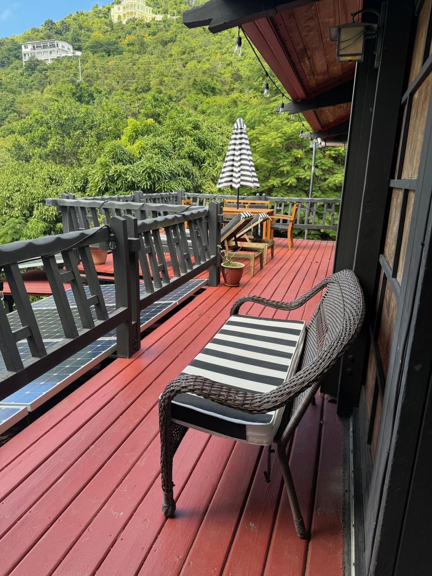 Contant Mid-Century: Caribbean Style公寓 外观 照片